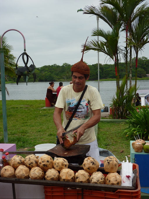 Tortuguero-1110070_redimensionner