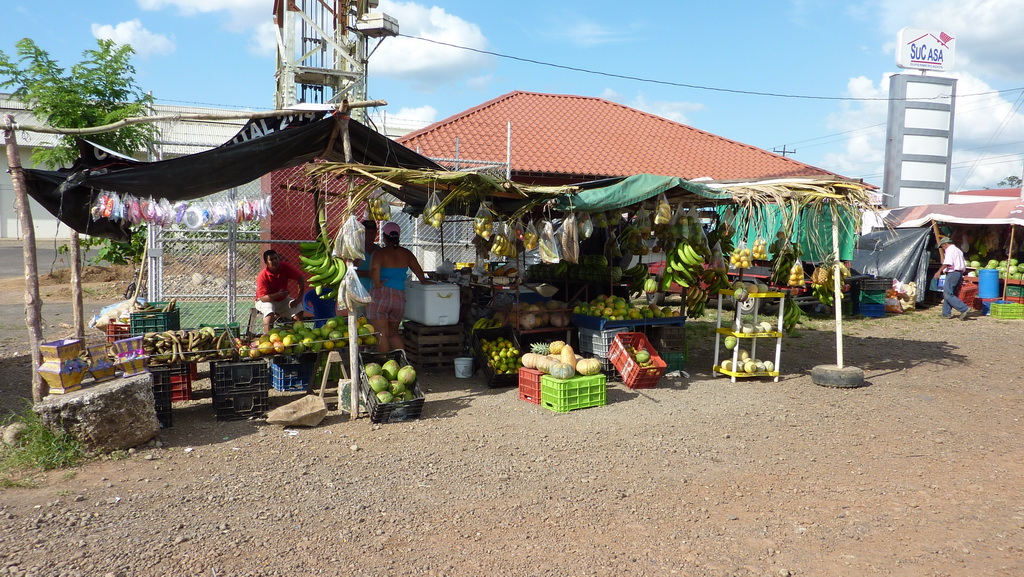 Tortuguero-1110212_redimensionner